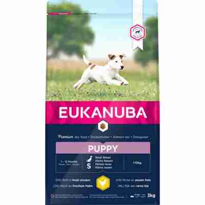 Euk Dog Puppy Small