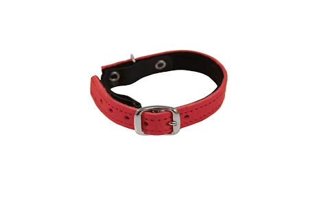 limex kattungehalsband, cerise