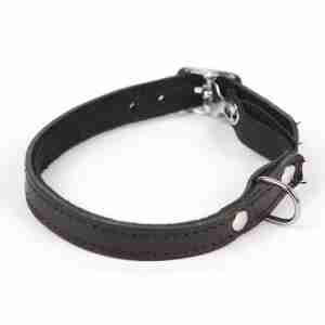 Limex kattungehalsband, svart