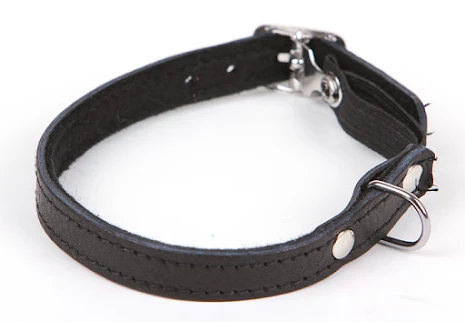 Limex kattungehalsband, svart