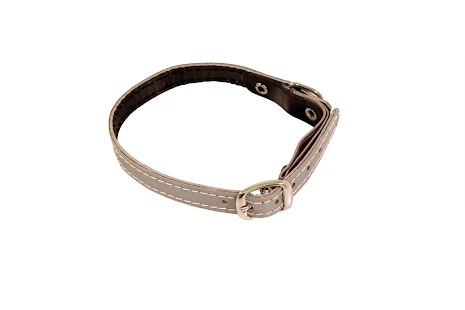 Limex katthalsband, reflex silver