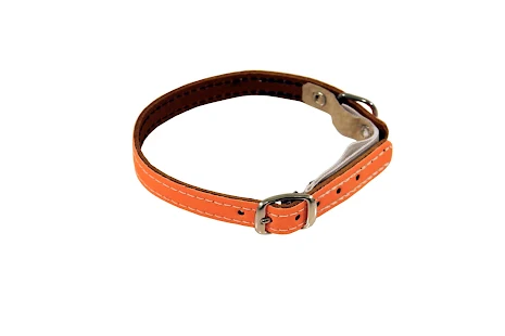 Limex katthalsband, reflex orange