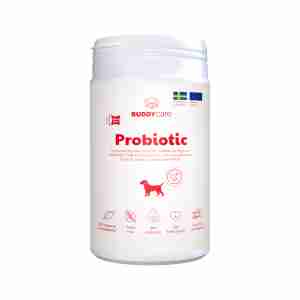 Buddy Probiotic