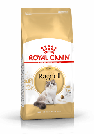 RC Ragdoll Adult, 2kg