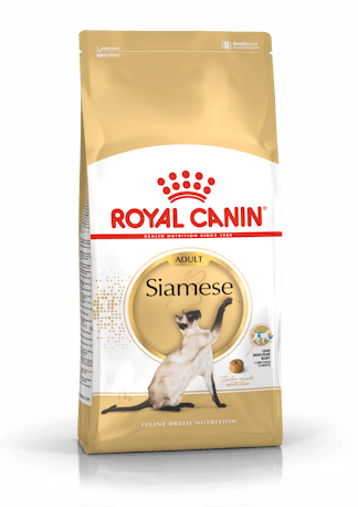 RC Siamese Adult, 2kg