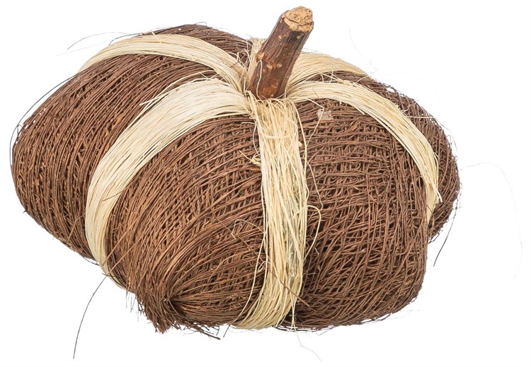 Kokosnötsleksak pumpa, 9 × 6 cm
