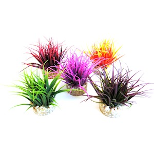 Aqua nano moss sydeco mix