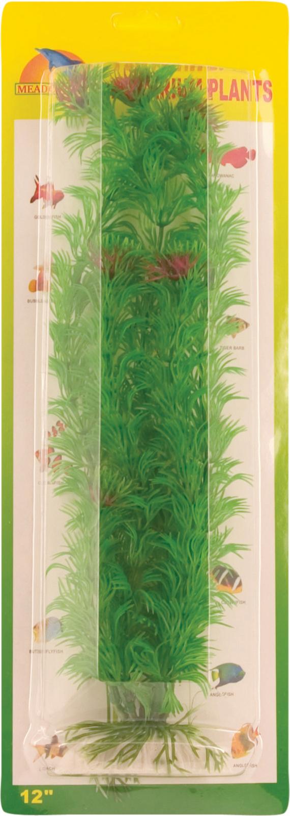 Foxtail plastväxt 30 cm