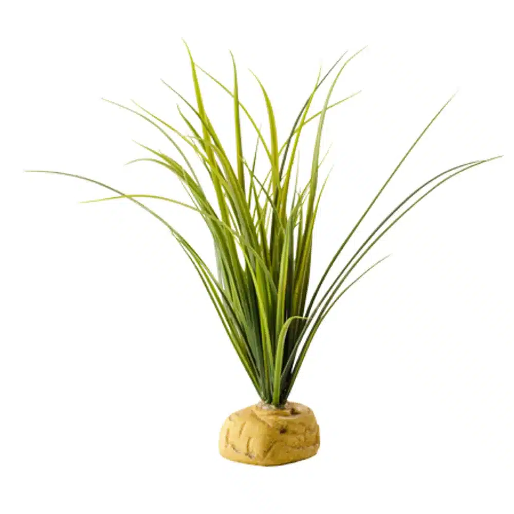 Turtle Grass Exoterra