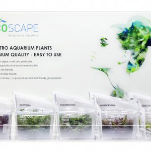 EcoScape Acrylic Display för 15 VC