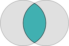 The Vagina - Vesica Pisces