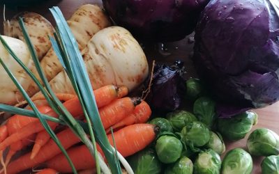 Foodsharing
