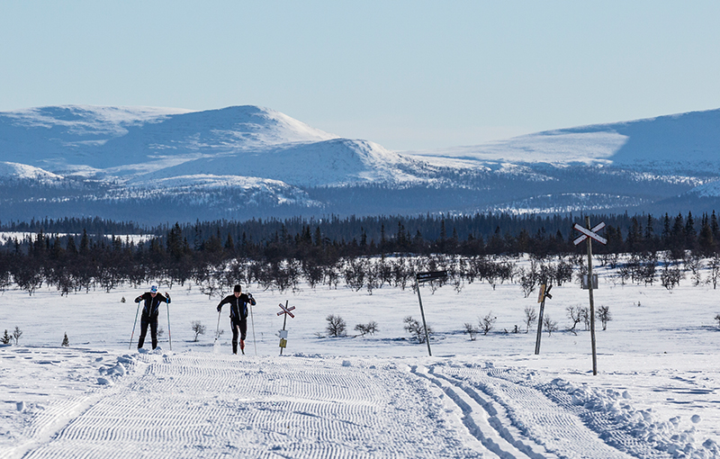 ski-sverige Langrendsløbere på fjeldet i Lofsdalen, Sverige