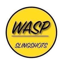 WASP Logo