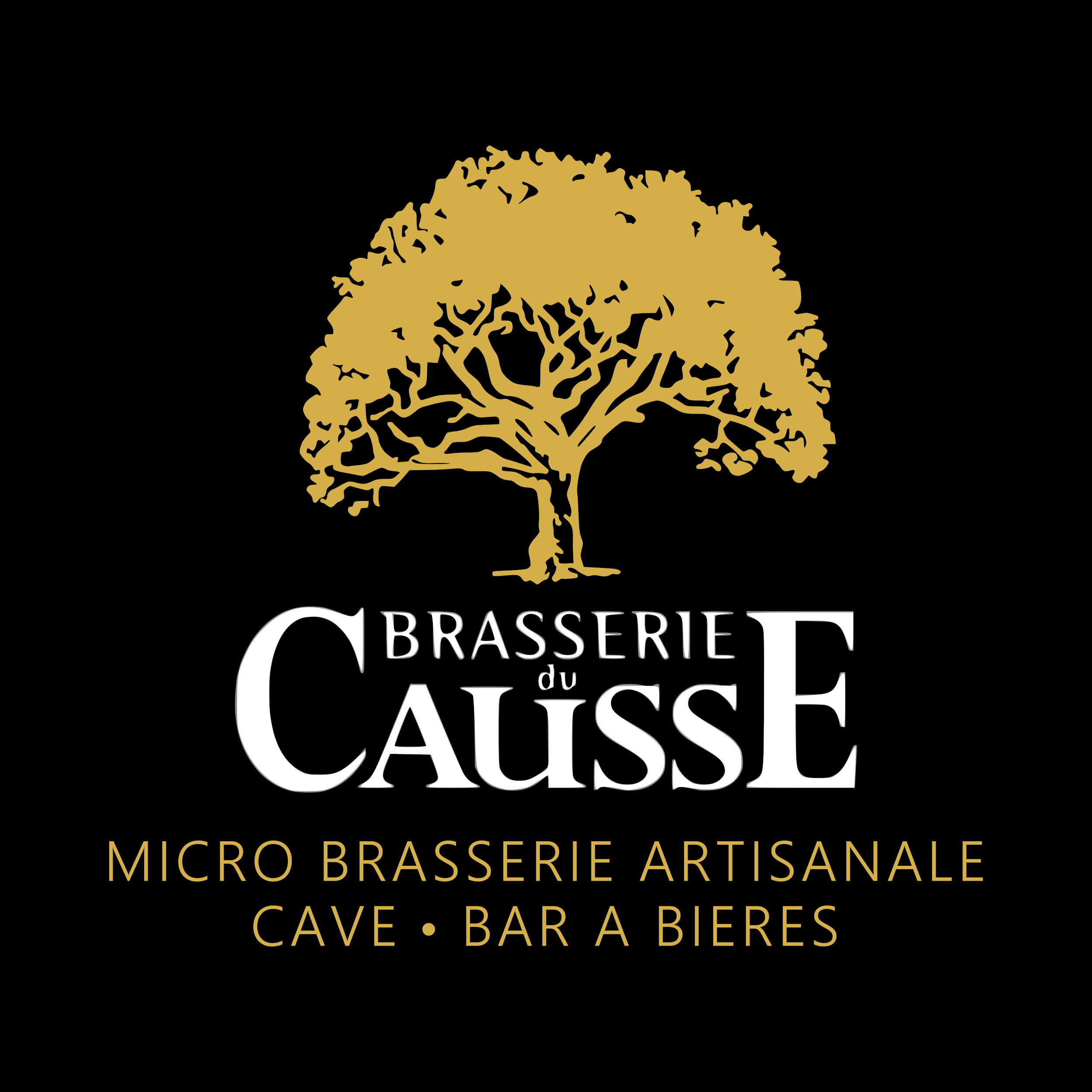 Site Web - La Brasserie du Causse