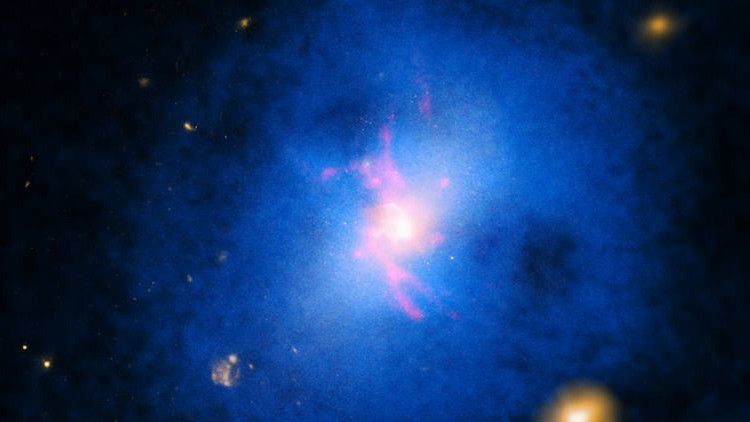 ‘Stargate’: Científicos hallan una ‘puerta’ en el centro de los agujeros negros – RT