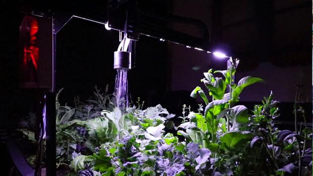 El increíble robot que puede cultivar un huerto por sí mismo