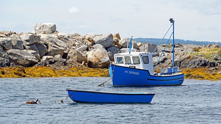 Una isla canadiense ofrece trabajo y casi una hectárea de tierra a quienes deseen habitarla – RT