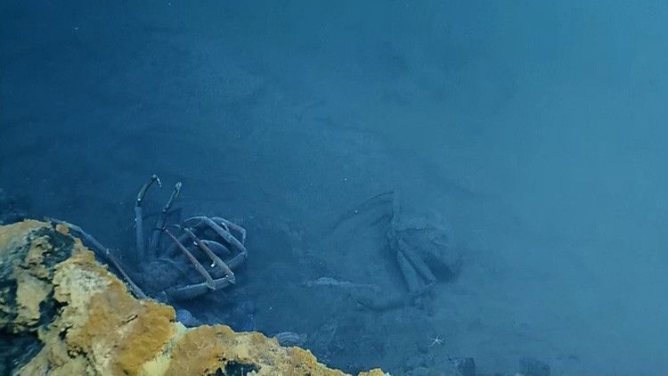 El extraño ‘lago’ en el Golfo de México de donde «nadie regresa vivo» – RT