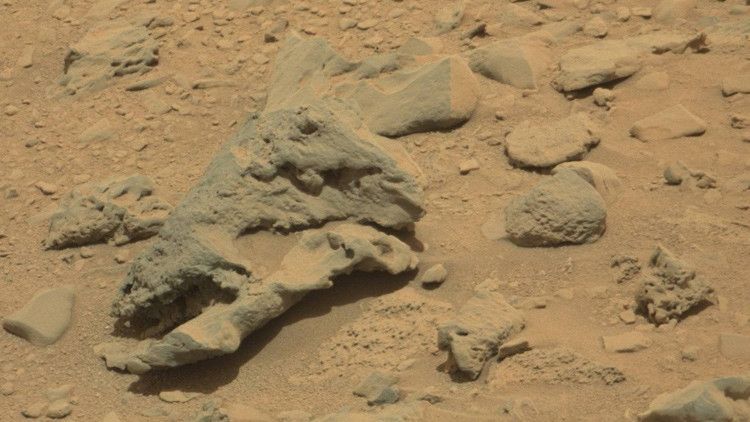‘Parque Jurásico’ en Marte: Encuentran un ‘cráneo de dinosauro’ en una imagen de la NASA – RT