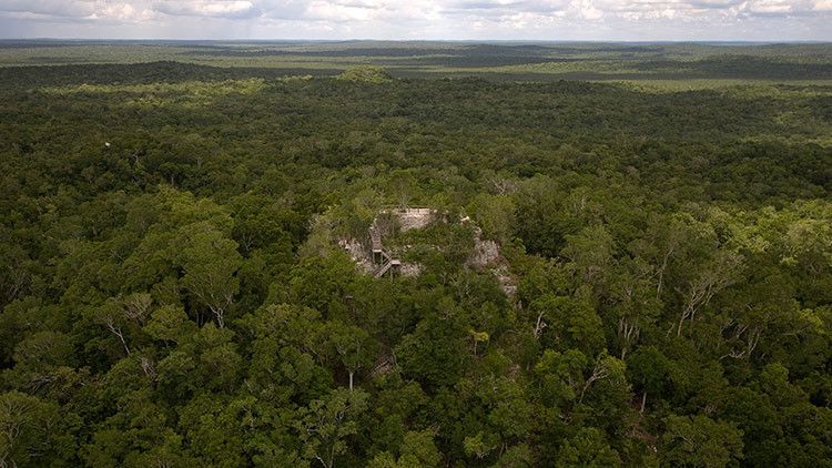 FOTO: Encuentran en las selvas de Guatemala «la primera red de supercarreteras del mundo» – RT