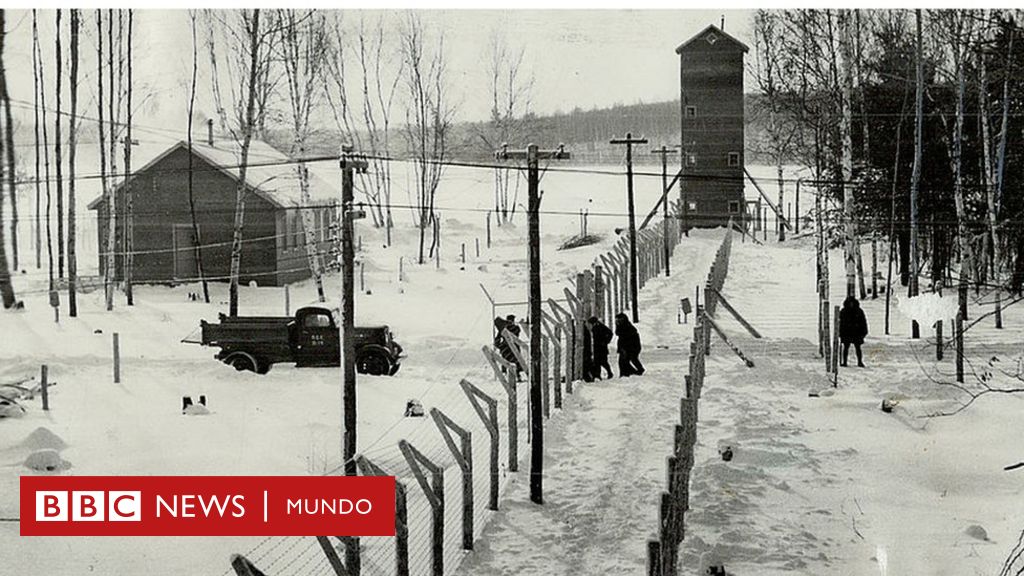 Los campos de internamiento estaban protegidos por cercas electrificadas.