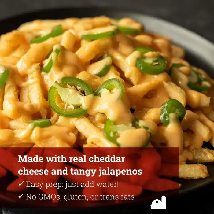 Cheese sauce on fries