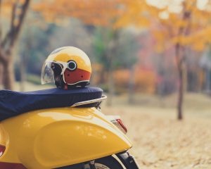 moped6