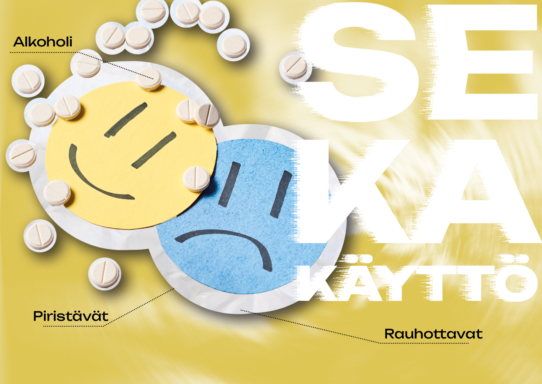 Sekakäyttö