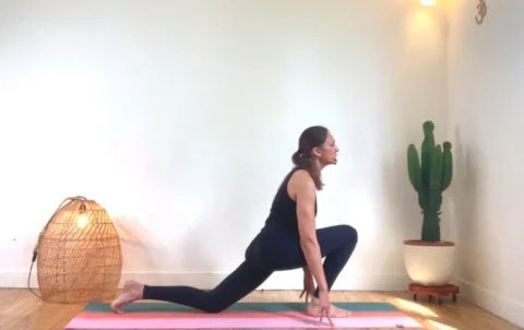 Le but ultime du yoga est le samadhi, décrit dans les yoga sutras de Patanjali.