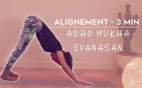 Adho Mukha Svanasana, plus connu sous le nom de « posture du chien tête en bas », est l'un des asanas les plus connus et les plus pratiqués dans le monde du yoga.