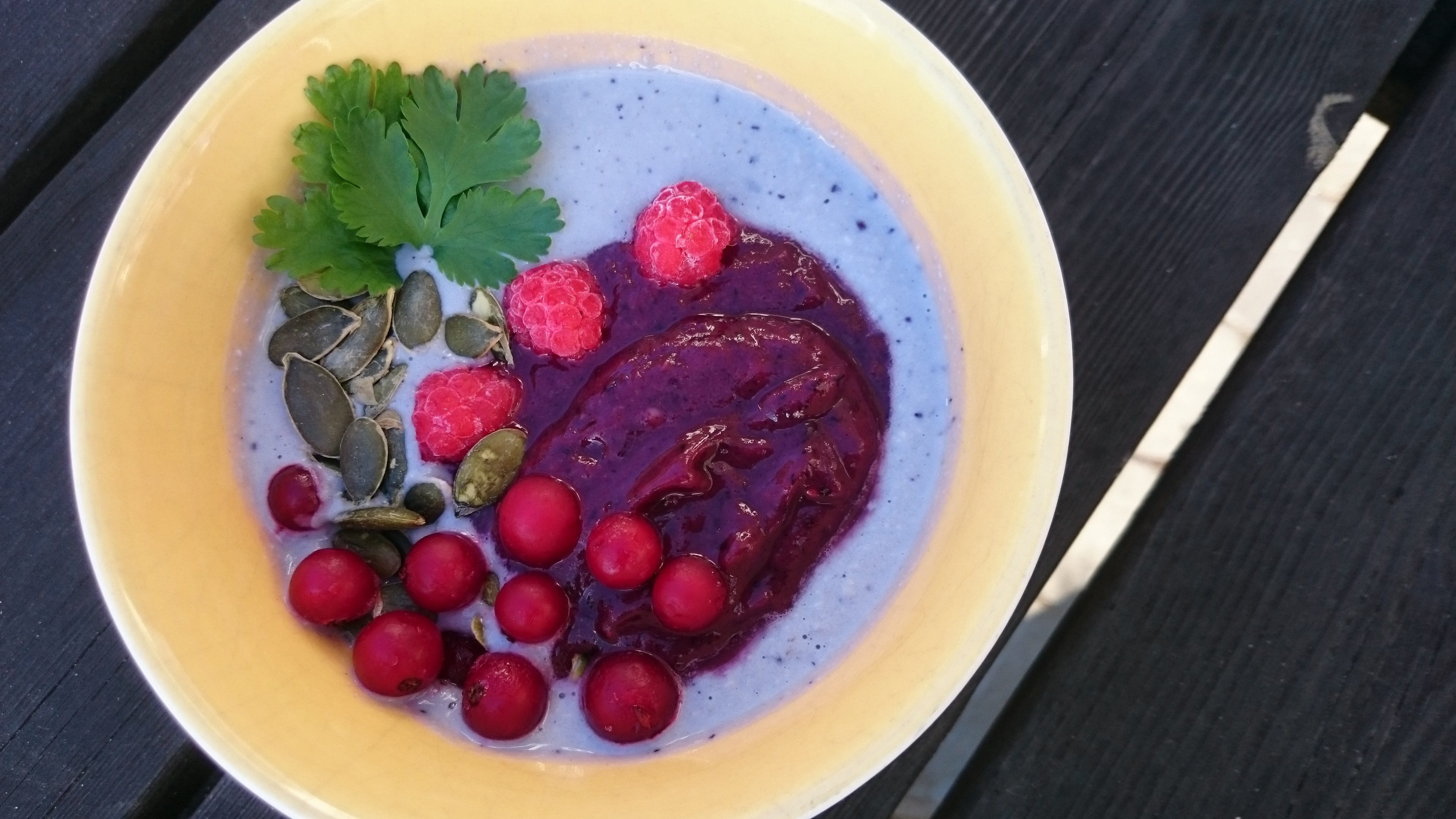 tallrik med blått mos, röda bär