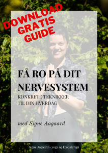 Gratis guide til at få ro på nervesystemet