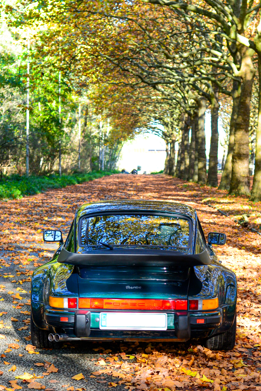 yountimer.one - Porsche 911 turbo - Forest Green - 1989 - 10 of 21