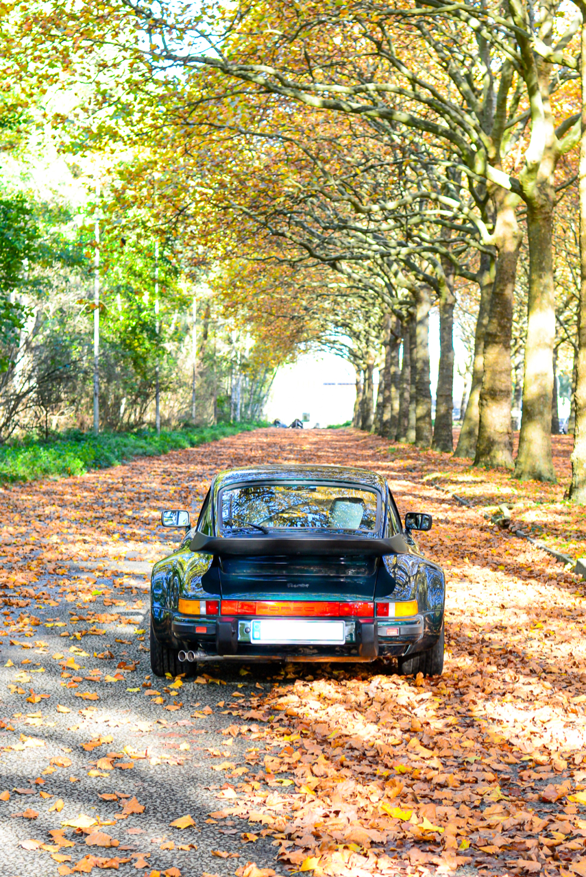 yountimer.one - Porsche 911 turbo - Forest Green - 1989 - 9 of 21