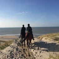 Paardrijden op Terschelling