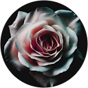 Tirath dosanjh profile picture