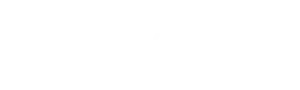 logo-flying-fish-white
