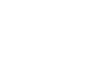 logo-tno-white