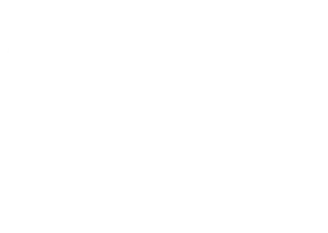 logo-totalenergies-white-