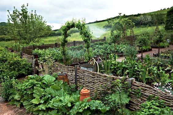 Potager – ett blomstrande trädgårdsland