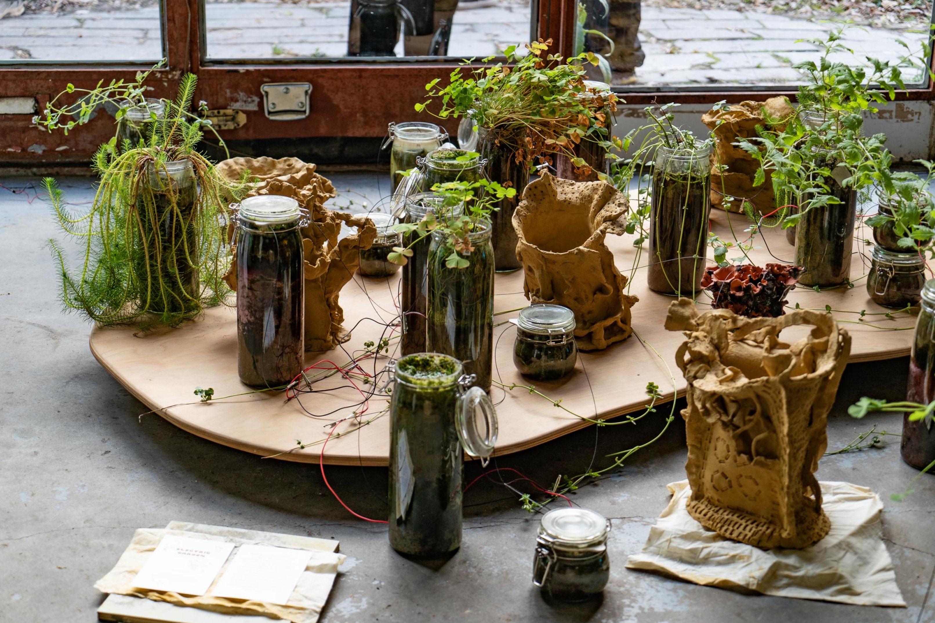 Circuits and Ceremonies