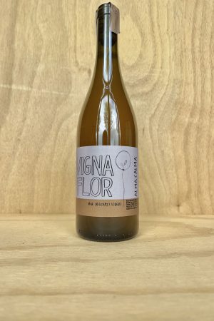 Vigna Flor - Alma Calma 2022