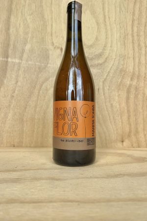 Vigna Flor - Mamma Tonda 2022