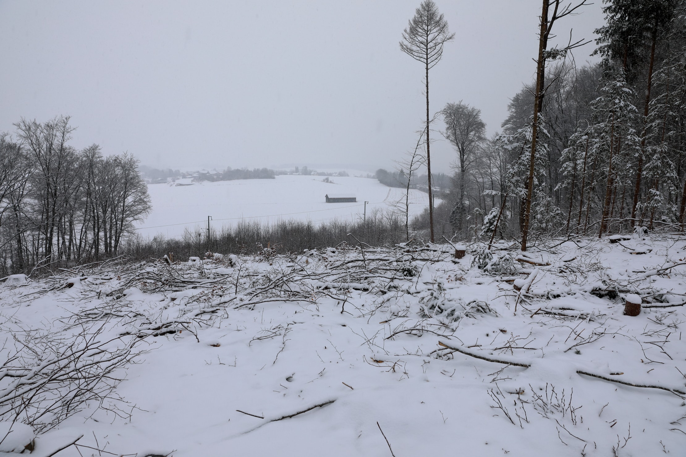 Kahlschlag Steinebach oberer Hang Kahlschlag Steinebach oberer Hang