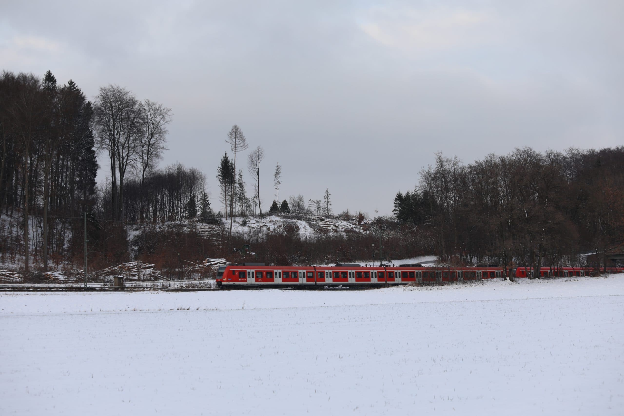 Kahlschlag Schutzwald Steinebach © Stephan Bleek 2021