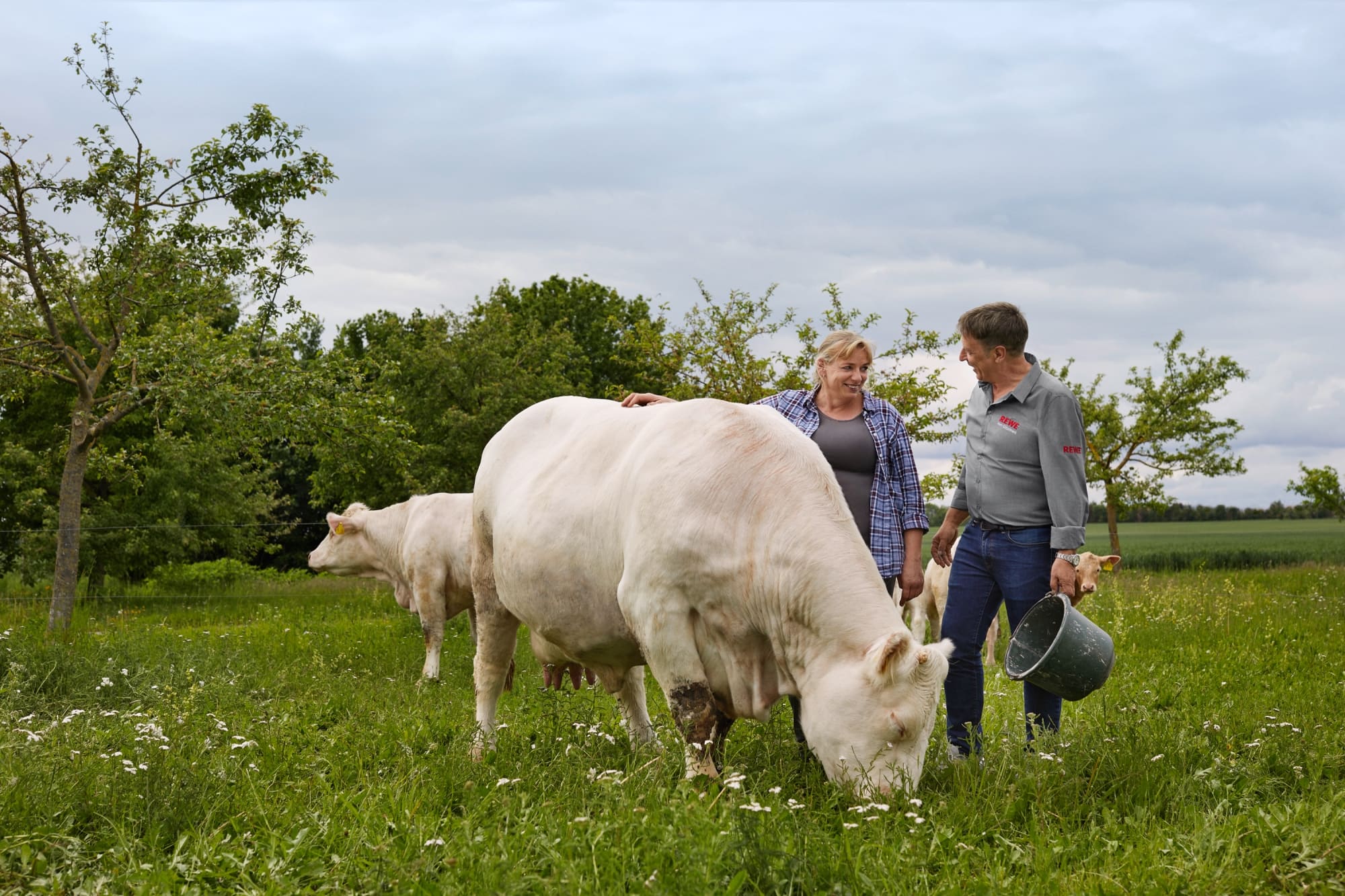 REWE-Lokalpartnerschaft3