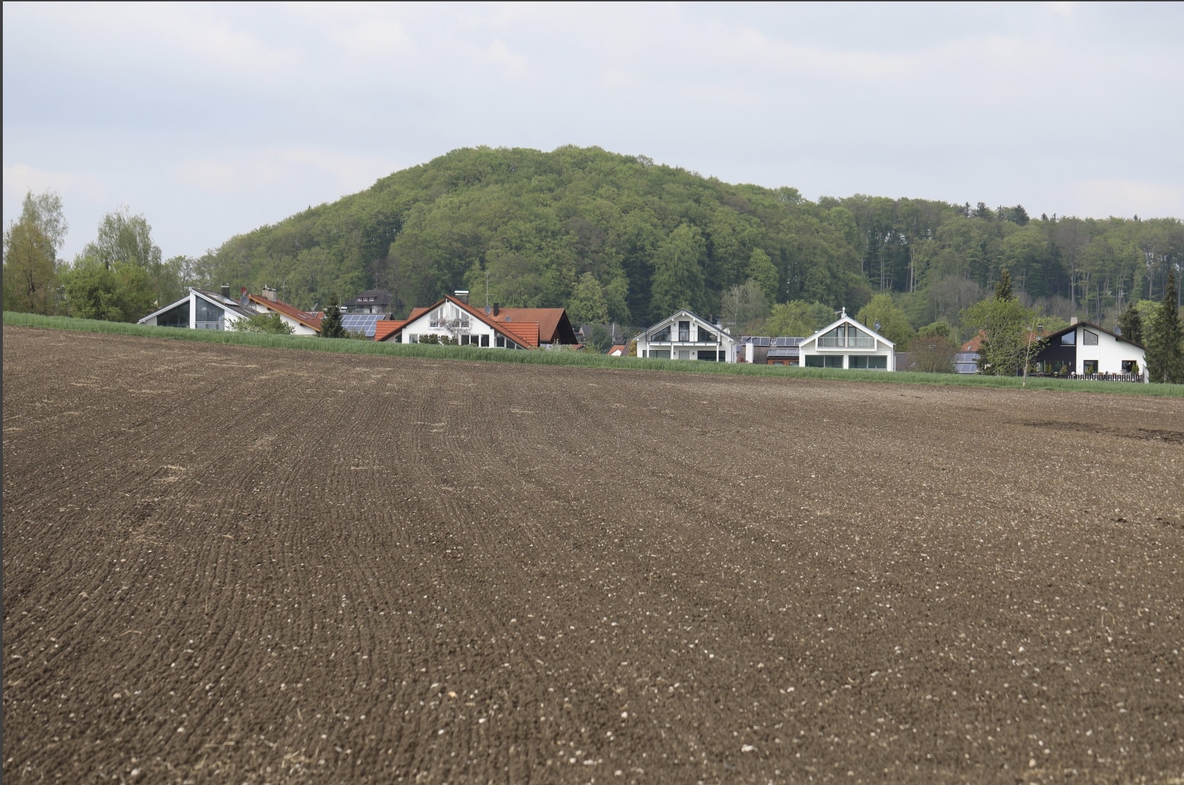 Steinebach_Feld