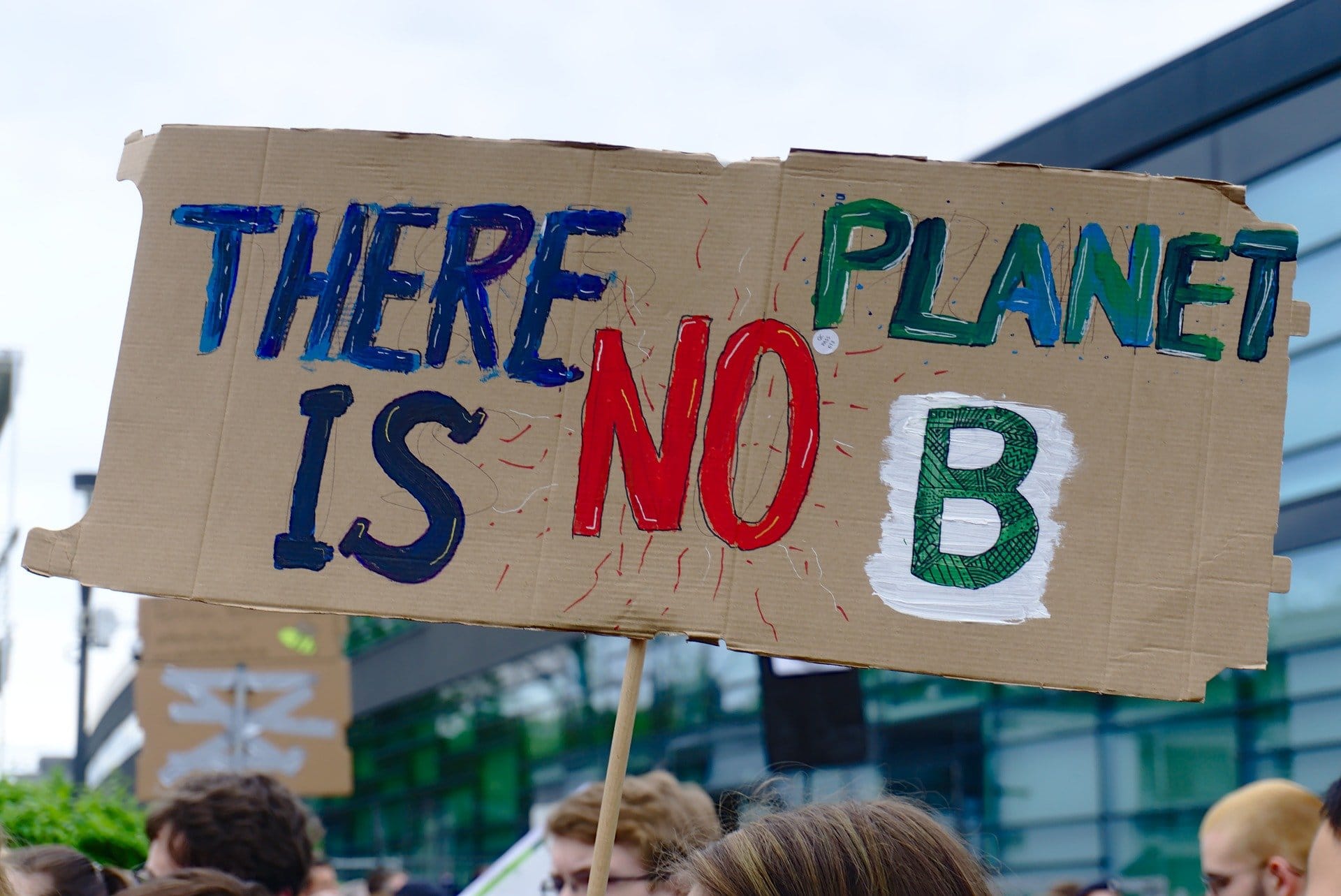 fridays-for-future-4161573_1920