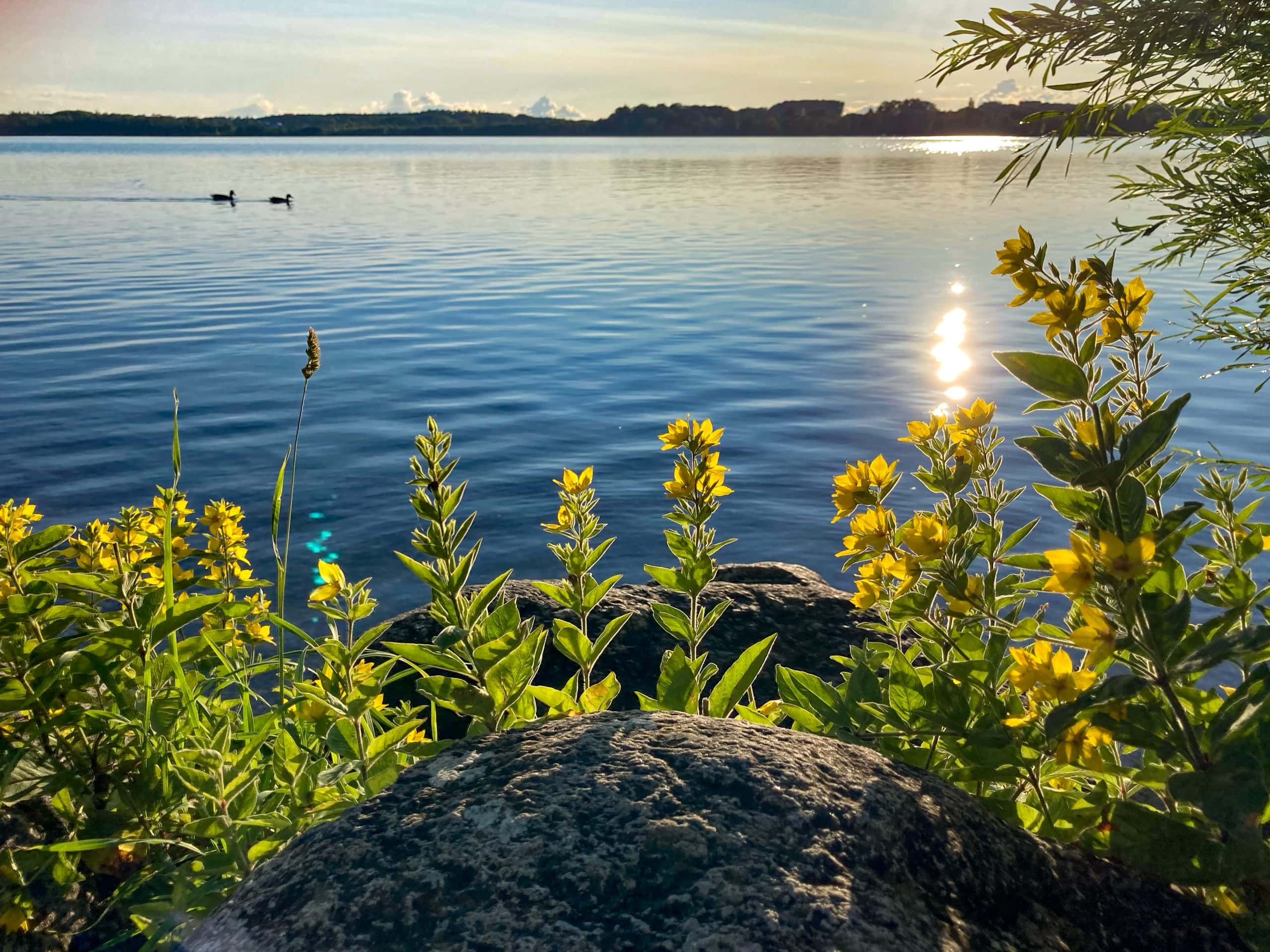Wörthsee-Impressionen-0130